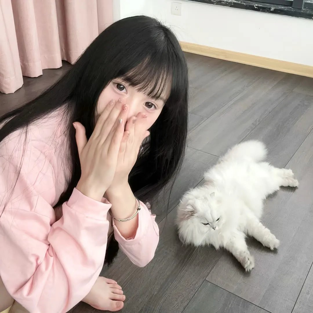 福星高照粤语